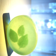 Load image into Gallery viewer, Summer Vacation line